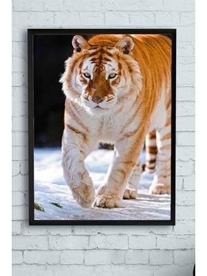 Trendexa PSTER11500 Kaplan Hayvan Çerçeveli Tablo (50X70 Cm)