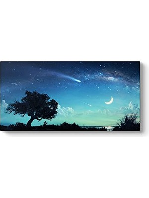 Trendexa Kayan Yıldızlar Kanvas Tablo 100 x 50