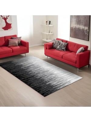 Trendexa Kadife Kaymaz Pamuk Tabanlı Yıkanabilir Antibakteriyel Salon Halısı 100X150
