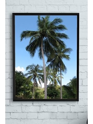 Trendexa PSTER13520 Tayland Manzara Çerçeveli Tablo 40X50 cm