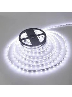Trendexa CT-4487 10ç Dış Mekan Beyaz LED Şerit, 5m