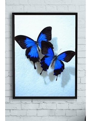 Trendexa PSTER11650 Kelebek Hayvan Çerçeveli Tablo (40X50 Cm)