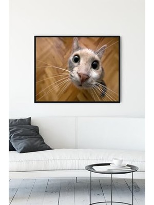 Trendexa (PSTER11580) Kedi Eğlenceli Mizahi Çerçeveli Tablo 4 (21X30 Cm)