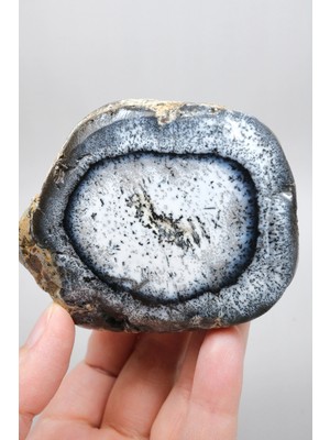 Healcrystal Beyaz ve Dumanlı Gri Merlinit - Dendritik Opal Dilimi ile Orbital Siyah Mangan Yüzük, 213G