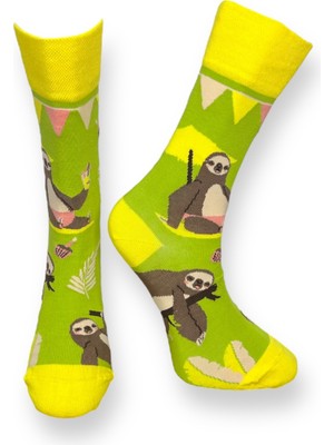 Me-Vo Unisex Koala  Çorap