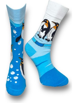 Me-Vo Unisex Penguen Çorap