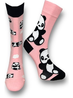 Me-Vo Tekli Unisex Esnek Panda Desenli Pudra Renkli Nefes Alabilen Soket Çorap