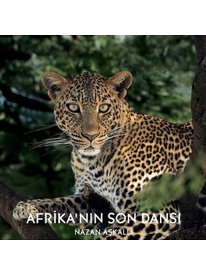 Afrika’nın Son Dansı
