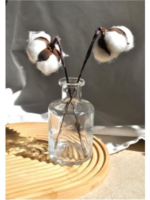 Orevio Şeffaf Cam Mini Vazo, 210 Ml, 12 Cm, 1 Adet