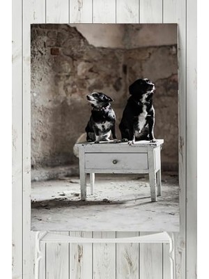 Orevio PSTER5723 Köpek Hayvan Posteri 60X90 cm