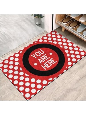 Orevio Kapı Önü Paspası, Modern ve Şık, Ev, Ofis ve Dış Mekân Kullanımı Için (You Are Here) 45X65