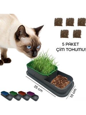 Ttt Topraksız Kedi Çimi Kabı