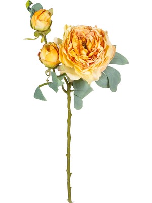 Herdekora Yapay Çiçek Şakayık Kurumuş Efektli Sarı 25X65 Cm.