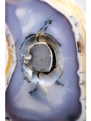 Healcrystal Mavi Sarı Dendritik Opal Dilimi (Merlinite) - Her Iki Tarafı Da Cilalı, Doğal Göz Çekirdeği, 327G