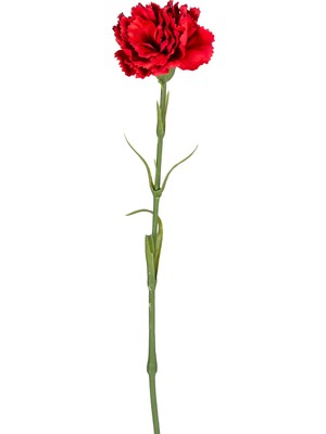 Herdekora Yapay Karanfil Dalı Islak Dokulu Kırmızı 8X50 Cm.