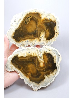 Healcrystal Nadir Kahverengi Dendritik Opal Çifti, Koyu Dallı Dendritik Içermelerle, 797G