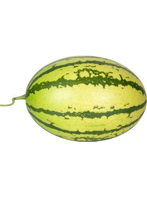 Herdekora Yapay Karpuz Yeşil 30X18 Cm.