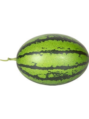 Herdekora Yapay Karpuz Koyu Yeşil 30X18 Cm.