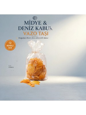 TKÇ Renkli Mix Midye Deniz Kabuk Vazo Taşı 1 kg