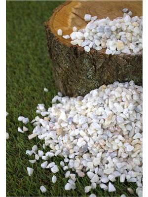 Dolomit Taş 5 kg 0,5-1 cm Karışık Renkli Çakıl Taşı Saksı Taşı Dere Taşı Akvaryum Teraryum Taşı