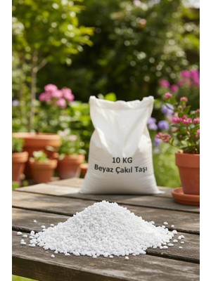 Beyaz Çakıl Taşı 10 kg Vazo Saksı ve Bahçe Dekorasyon Taşı