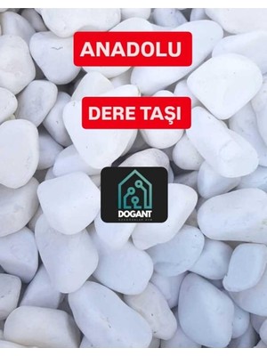 Ayrex Anadolu Beyaz Dolomit Taş, 2 Kg, Dere Çakıl Taşı, Akvaryum Teraryum Saksı Dekor Taşı