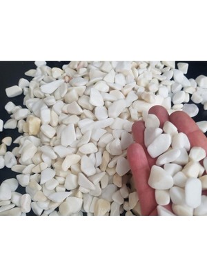 Ayrex Beyaz Dolomit Taş 500 gr 1-2 cm Dere Çakıl Taşı Saksı Taşı Akvaryum Teraryum Taşı Ba