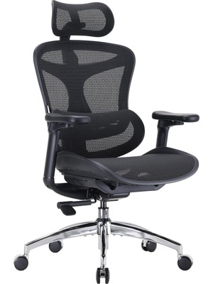 Ayrex Doro C300 - Ultra Yumuşak 3D Kolçaklı Ergonomik Ofis Koltuğu, Ev Ofis Koltuğu Için Dinam