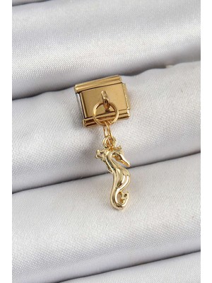 Birsence 316L Çelik Sallantılı Deniz Atı Model Renk Nomination Charm