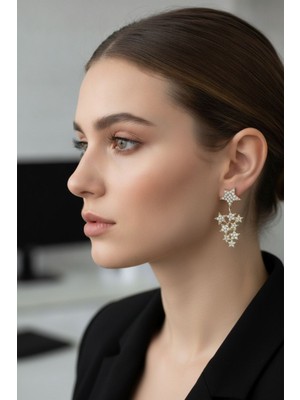 Birsence Yıldız Model Renk Zirkon Taşlı Küpe