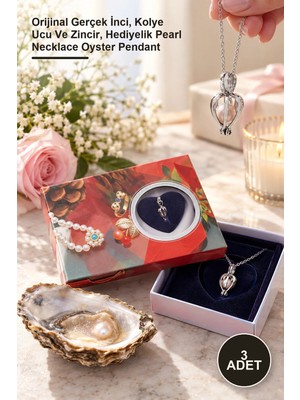 Yenilig 3 Adet Istiridye Içinde Inci Kolye – Orijinal Gerçek Inci, Kolye Ucu ve Zincir, Hediyelik Pearl Necklace Oyster Pendant