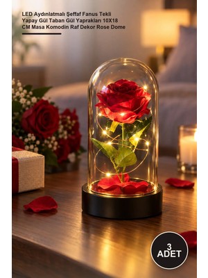 Yenilig 3 Adet Gül Fanus – LED Aydınlatmalı Şeffaf Fanus Tekli Yapay Gül Taban Gül Yaprakları 10X18 cm Masa Komodin Raf Dekor Rose Dome