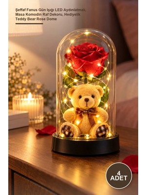 Yenilig 4 Adet Ayıcıklı Ledli Gül Fanus – Şeffaf Fanus Gün Işığı LED Aydınlatmalı, Masa Komodin Raf Dekoru, Hediyelik Teddy Bear Rose Dome