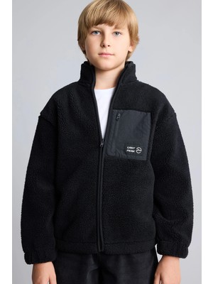DeFacto Dik Yaka Fermuarlı Cepli Pelüş Basic Sweatshirt Hırka Erkek Çocuk H2371A826WN