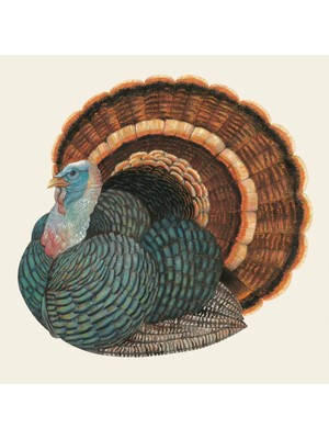 Hester & Cook Heritage Turkey Kokteyl Peçetesi 20LI Paket