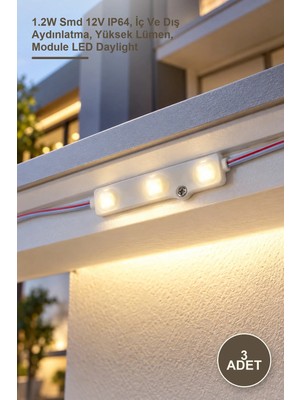 Yenilig 3 Adet CT-4591G Modül LED Günışığı – 1.2W Smd 12V IP64, Iç ve Dış Aydınlatma, Yüksek Lümen, Module LED Daylight