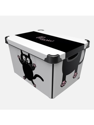 2 Adet Qutu Style Box Meow Cat