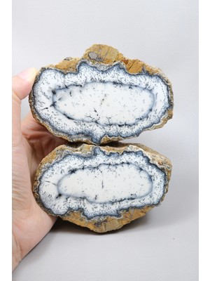 Healcrystal Büyük Cilalı Beyaz Merlinit Kesim Çifti - Mat Porselen-Beyaz Çekirdek ile Siyah Dendrit Bantları, 760G