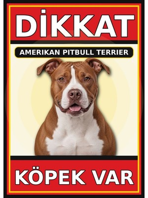 Ti Play Amerikan Pitbull Terrier Dikkat Köpek Var Levhası 50X70 cm Uv Baskılı Pvc Uyarı Tabelası