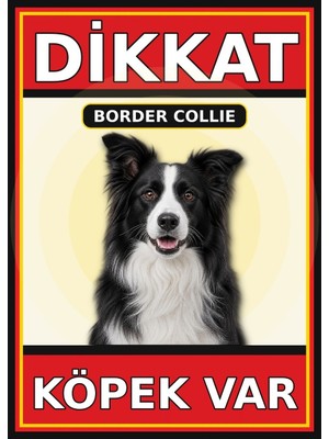 Ti Play Border Collie Dikkat Köpek Var Levhası 21X30 cm Uv Baskılı Pvc Uyarı Tabelası