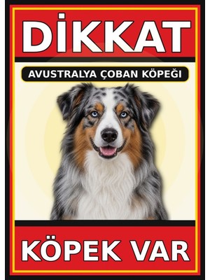 Ti Play Avustralya Çoban Köpeği Dikkat Köpek Var Levhası 35X50 cm Uv Baskılı Pvc Uyarı Tabelası