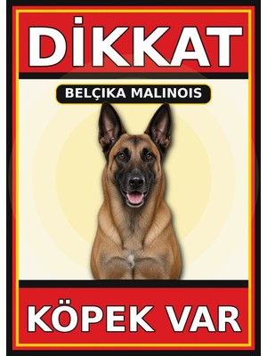 Ti Play Belçika Malinois Dikkat Köpek Var Levhası 21X30 cm Uv Baskılı Pvc Uyarı Tabelası