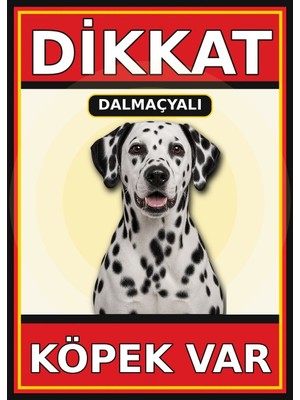Ti Play Dalmaçyalı Dikkat Köpek Var Levhası 50X70 cm Uv Baskılı Pvc Uyarı Tabelası