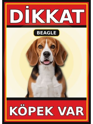 Ti Play Beagle Dikkat Köpek Var Levhası 21X30 cm Uv Baskılı Pvc Uyarı Tabelası