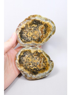 Healcrystal Kahverengi Dendrit Opal Kesilmiş Çift - Zengin Bal-Okra Çekirdeği ile Ince Siyah Dendrit Örgü, 408G