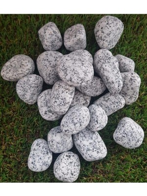 Benekli Dolomit 15 kg 2-4 cm Dolomit Taş Dere Taşı Çakıl Taşı Bahçe Süs Taşı Akvaryum Teraryum Taşı Gri