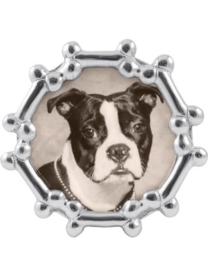 Defne Store Köpek Kemiği Yuvarlak Çerçeve, Gümüş, 4 x 6