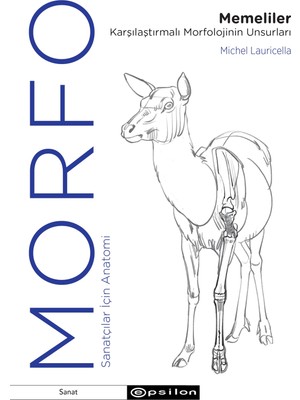 Defne Store Morfo: Memeliler ve Karşılaştırmalı Morfolojinin Unsurları
