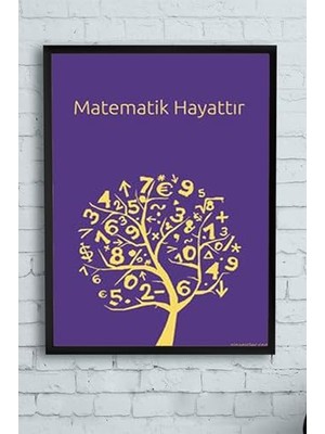 Defne Store PSTER12158 Matematik Hayattır Eğitim Çerçeveli Tablo (40X50 Cm)