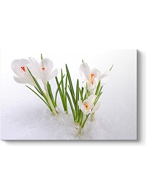 Defne Store Kardelen Çiçeği Kanvas Tablo 45 x 30
